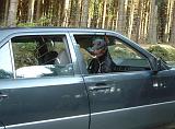 VOITURE - CAR 239